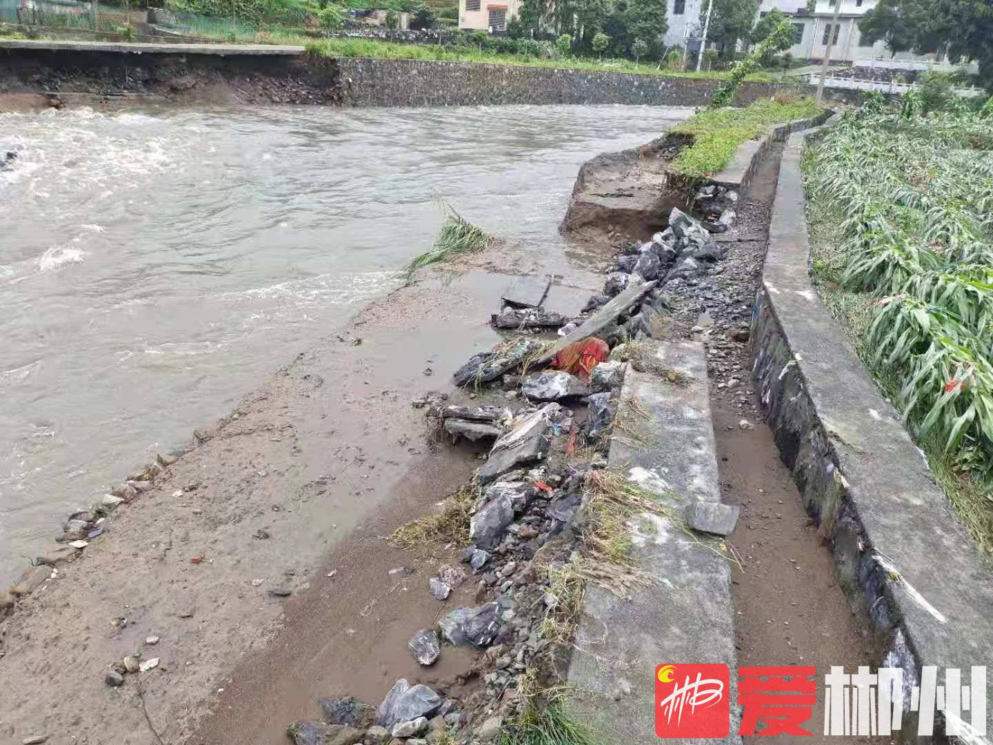 【爱郴州】临武暴雨致13个乡镇受灾 各部门全力抗灾保民生