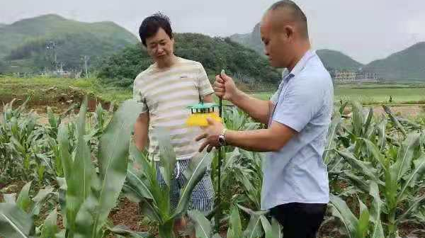 我为群众办实事 | 因地制宜抓防控 “虫口夺粮”保丰收