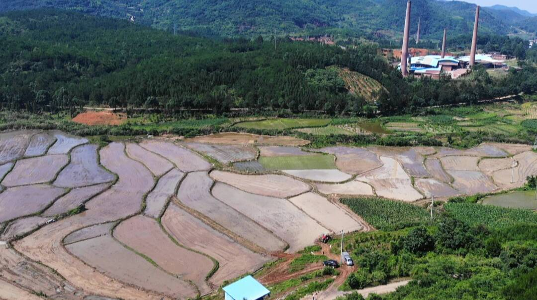 乡村振兴进行时｜南岸村： 抛荒“非粮化”耕地播下新稻种