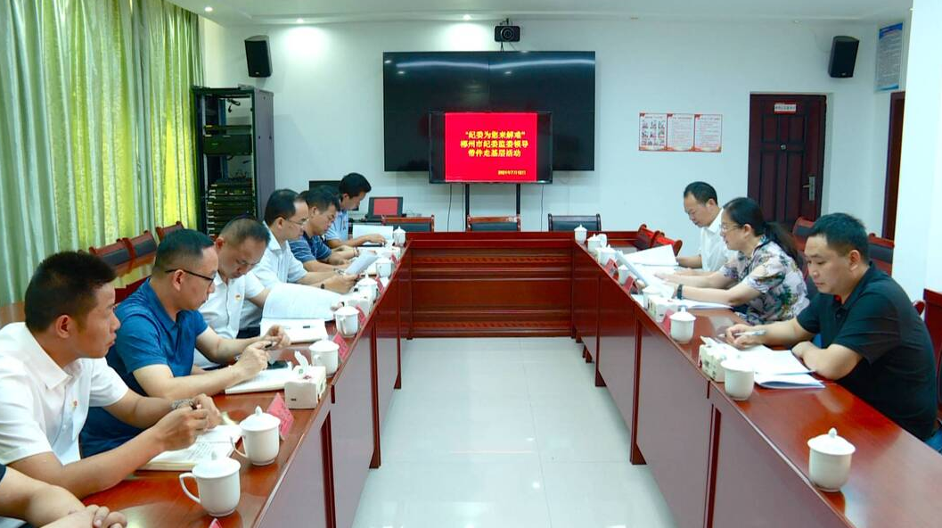 市纪委领导来我县调研督导