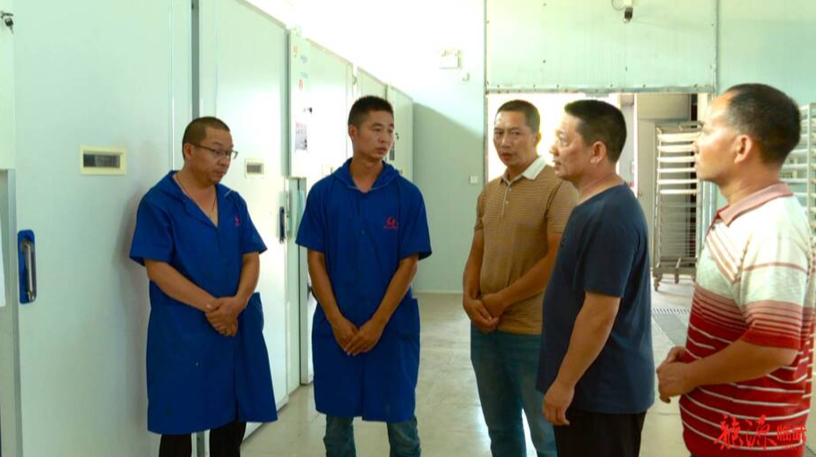 县畜牧水产事务中心：技术人员指导养殖场防暑降温