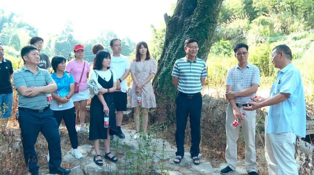 县政协委员专题视察土地复垦开发整理工作