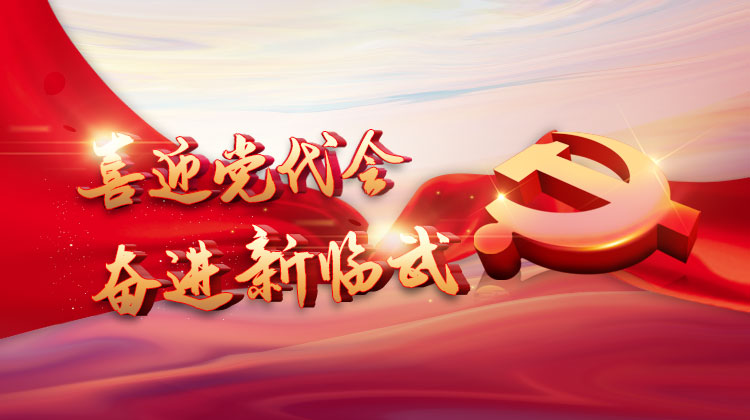 中共临武县第十三次代表大会专题报道