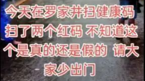 网传在郴州罗家井“扫了两个红码”…谣言！