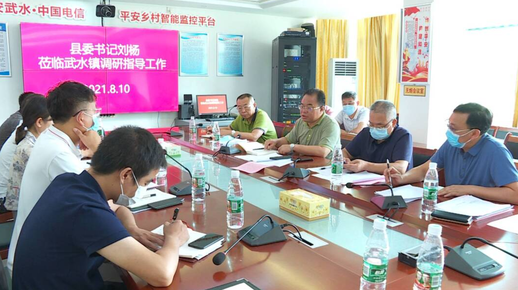 刘杨到武水镇调研