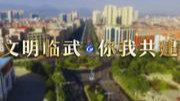 公益广告｜文明临武 你我共建