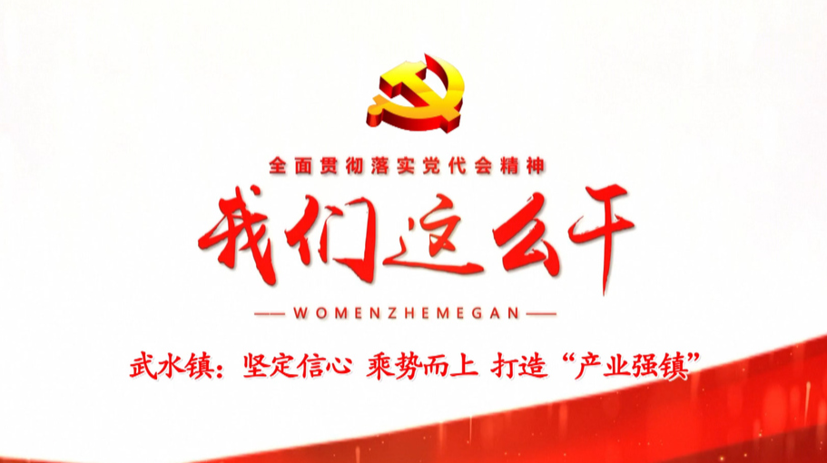 【全面贯彻落实党代会精神 我们这么干！】武水镇：坚定信心 乘势而上  打造“产业强镇”