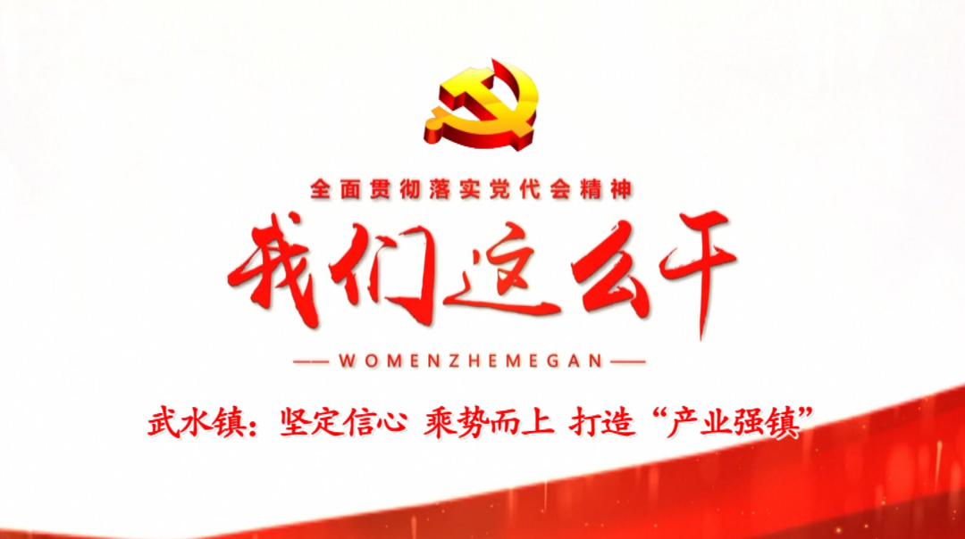 【全面贯彻落实党代会精神 我们这么干！】武水镇：坚定信心 乘势而上  打造“产业强镇”
