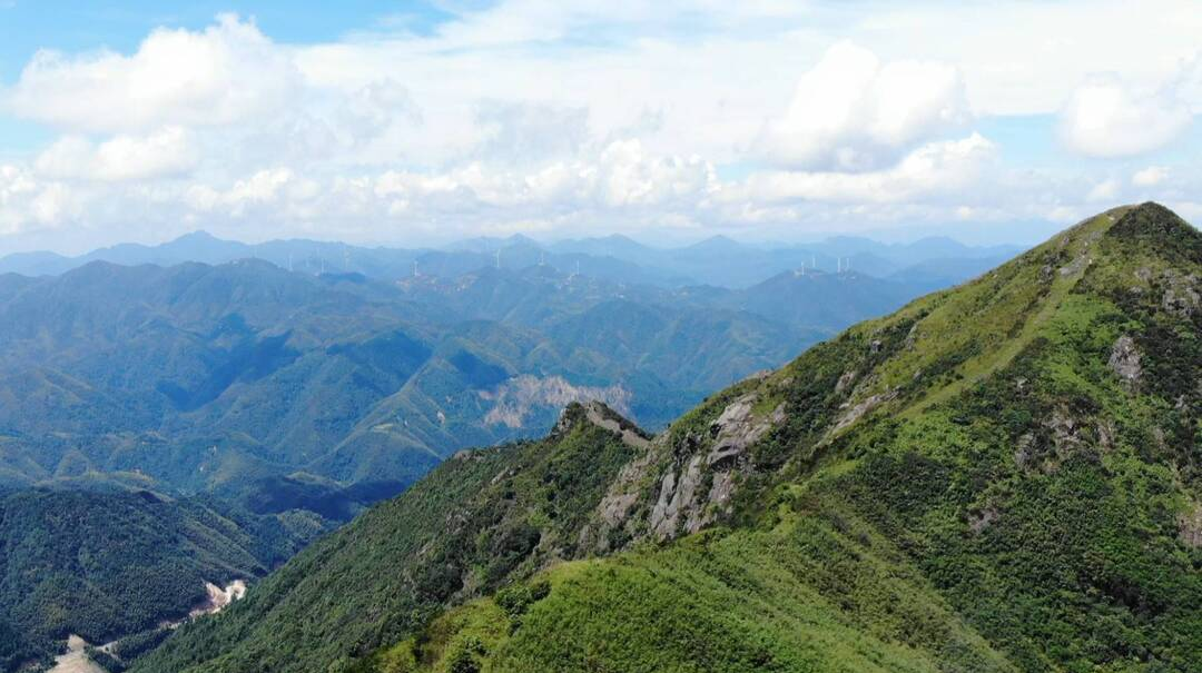 西山林场：点“绿”成“金” 推动林业高质量发展