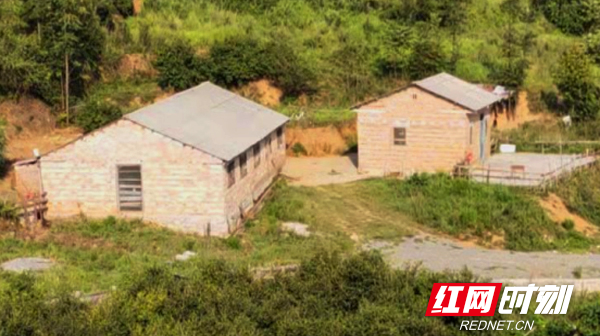 【红网时刻】临武：小额信贷“贷”出大幸福