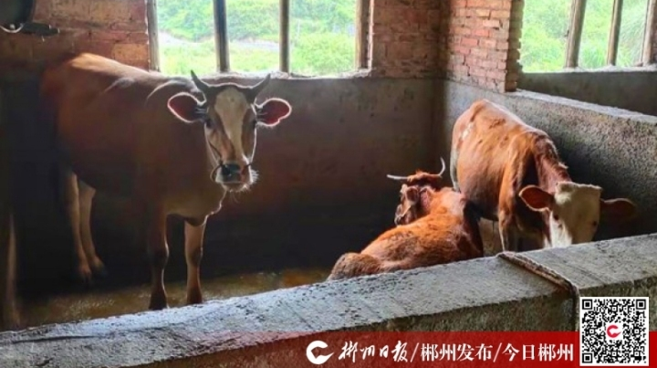 【郴州日报】临武县楚江镇：小额信贷“贷”出大幸福