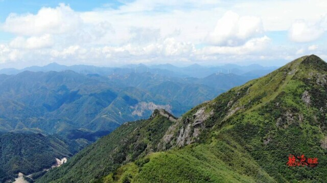 【新湖南】郴州临武西山林场：点“绿”成“金” 推动林业高质量发展