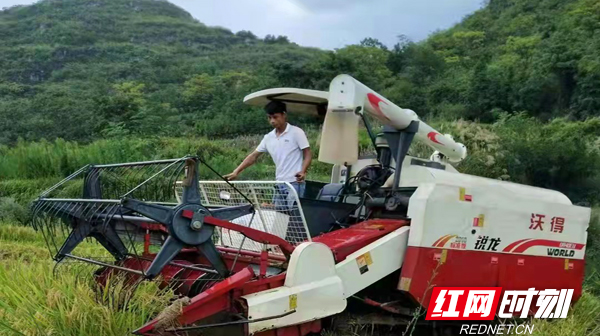 【红网时刻】临武县农机服务按下秋收“快捷键”