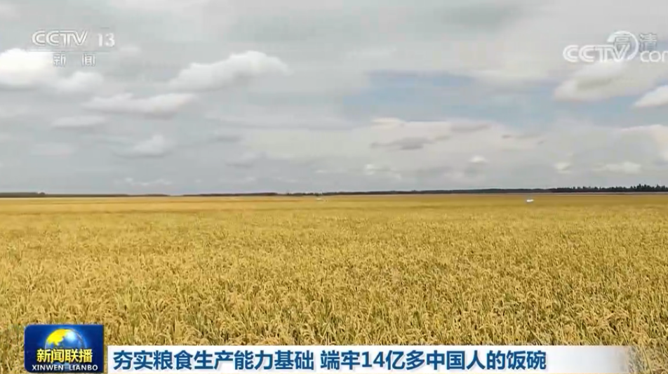 【在习近平新时代中国特色社会主义思想指引下】夯实粮食生产能力基础 端牢14亿多中国人的饭碗