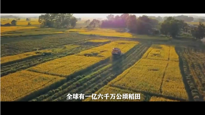 微视频 | 今天，致敬他们！