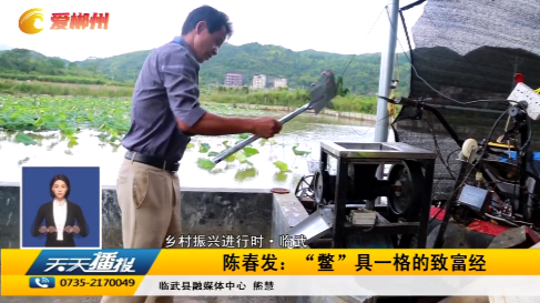 【天天播报】乡村振兴进行时·临武 陈春发：“鳖”具一格的致富经
