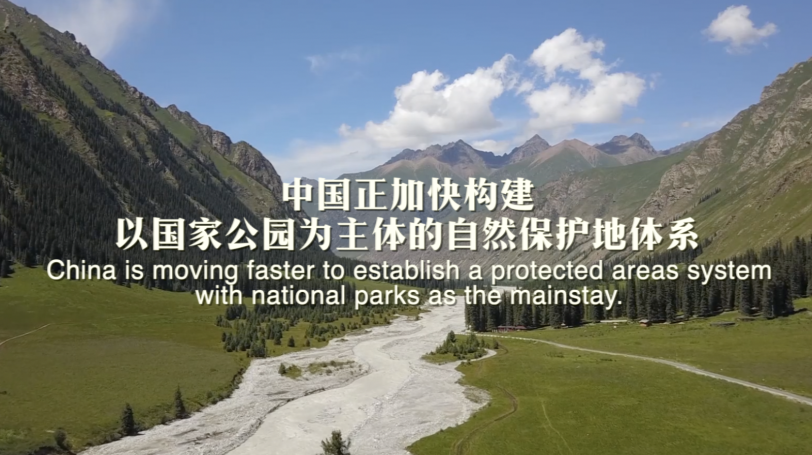 全球连线丨重磅微视频：和以生