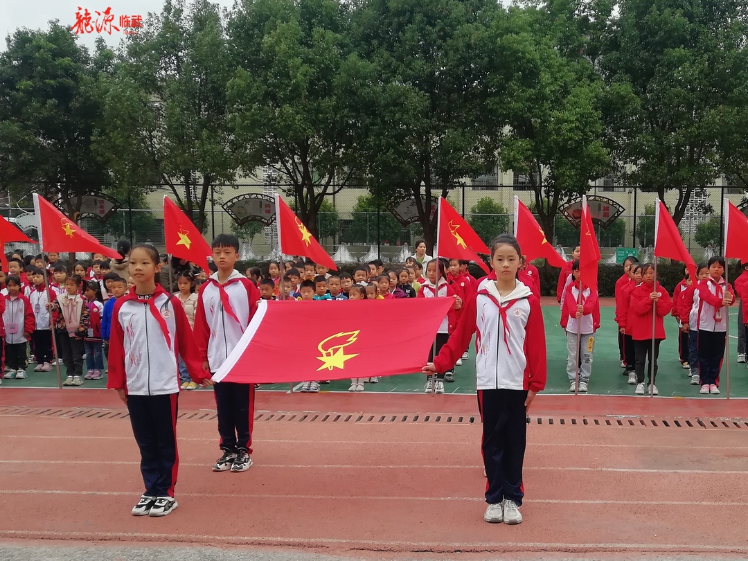 我县各校开展“请党放心，强国有我”少先队主题队日活动
