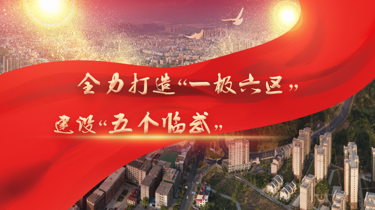 全力打造“一极六区” 建设“五个临武”
