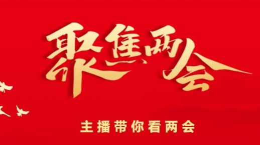 临武县选举产生新一届人大、政府领导班子