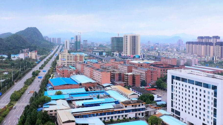 政府工作报告解读（三）：抓好主导产业项目建设 打造“一极六区”临武新优势