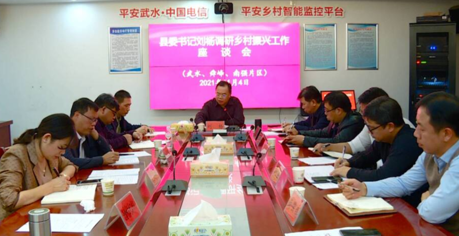 刘杨到舜峰、武水、南强片区调研乡村振兴工作