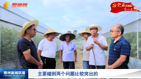 【郴州新闻联播】乡村振兴·我们的村支书 临武龙归坪村：五任村支书同唱“一台戏”