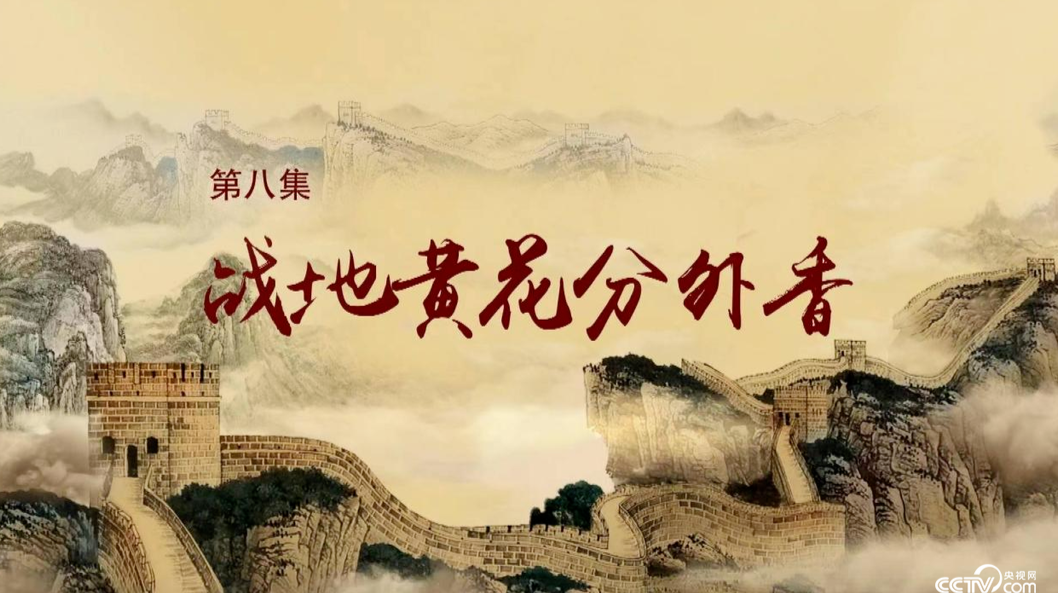 《历史关头——红色纪念馆之旅》 第八集：战地黄花分外香