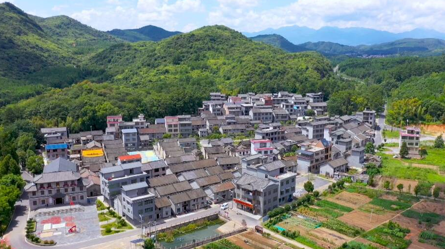 乡村振兴进行时｜龙归坪村：六任村支书同唱“一台戏”