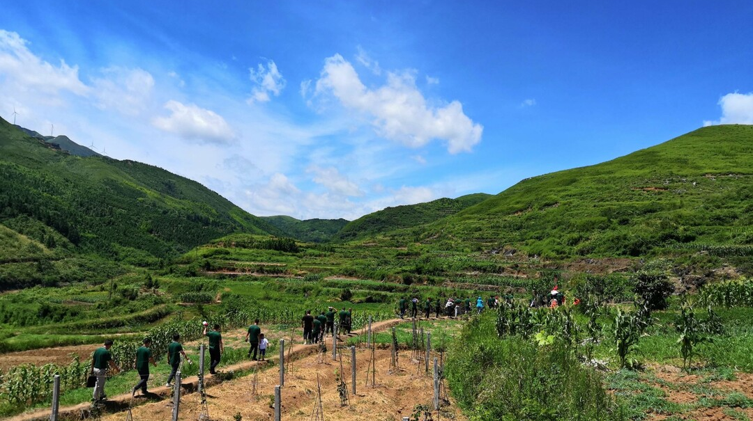 麦市镇：角色互换！乡村振兴加油干