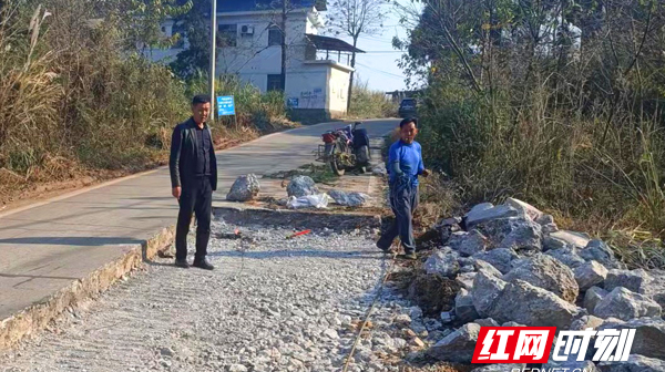 【红网时刻】临武：在乡村振兴中迸发人大代表的光与热