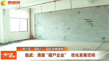 【爱郴州】“一极六区”园区行·园区发展提质 临武：清理“僵尸企业” 优化发展空间