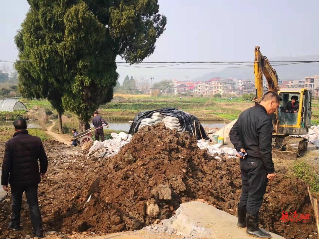 “四大”活动进行时·效率大提升｜汾市镇： 聚焦项目建设助力乡村振兴