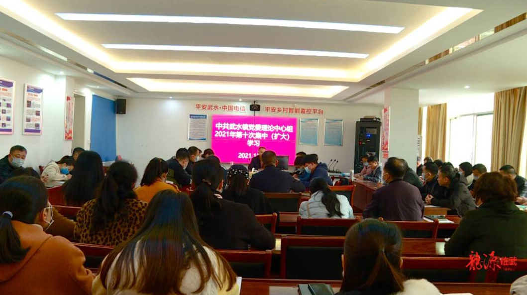 武水镇传达学习党的十九届六中全会精神