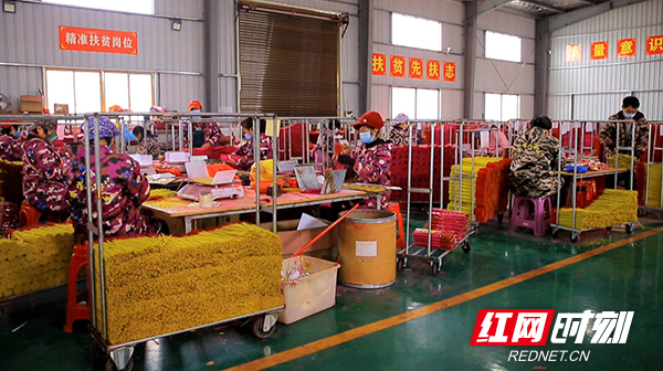 【红网时刻 湖南频道】临武：搭建“服务专线” 为企业纾困解难