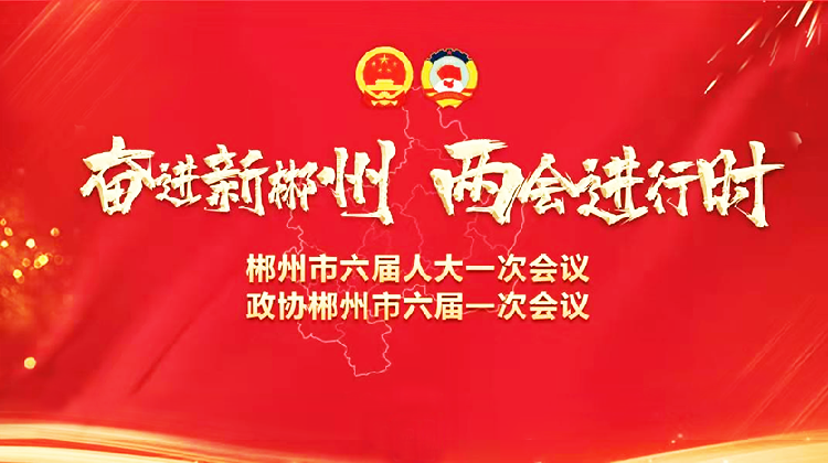 聚焦市两会