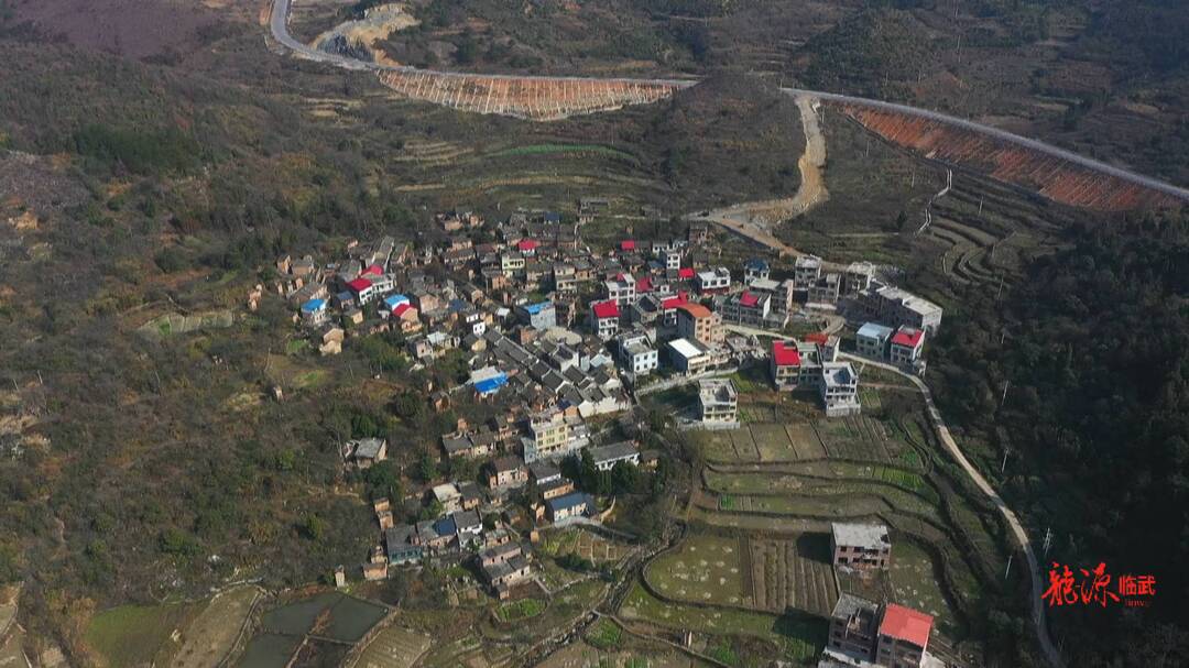 打造“一极六区"  建设“五个临武” ·乡村振兴大提速｜欧亚斌：做活“土地”文章 带富村民