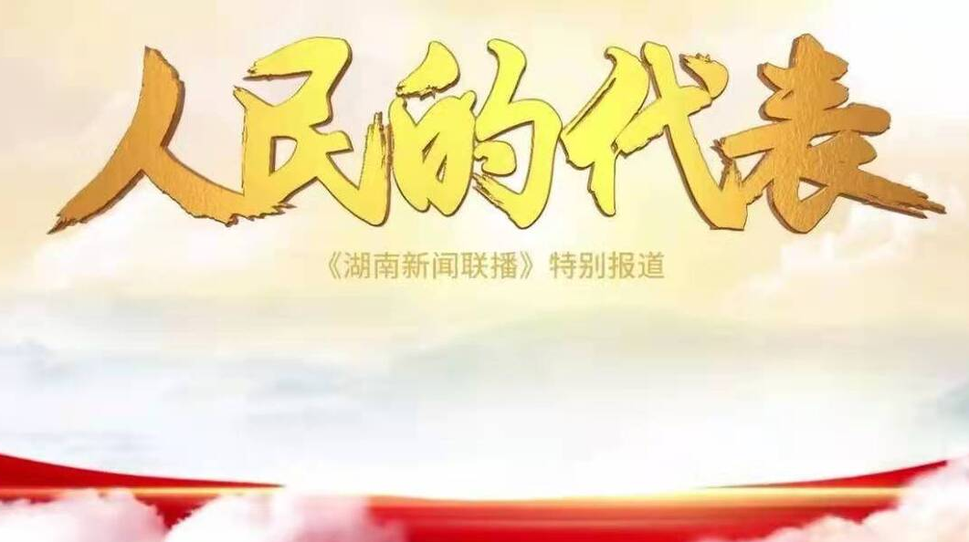 人民的代表（5）：促进发展 保障善治