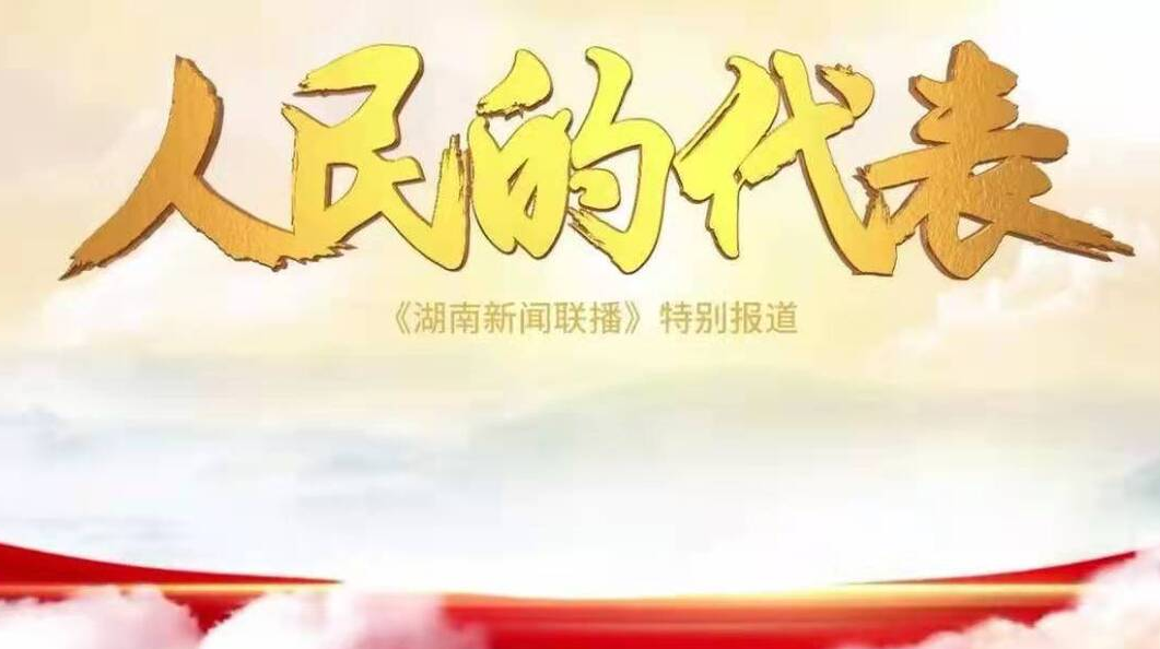 人民的代表