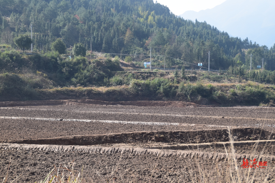 西瑶乡：冬闲变冬忙 高标准农田建设热火朝天