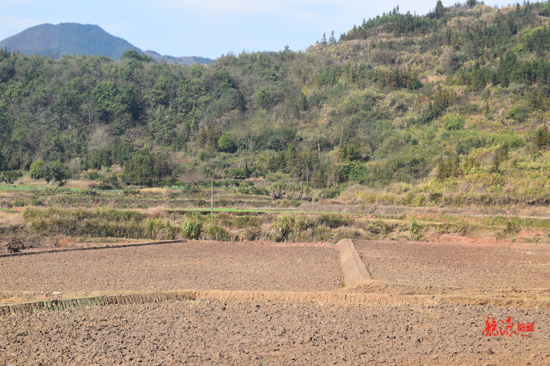 西瑶乡：冬闲变冬忙 高标准农田建设热火朝天
