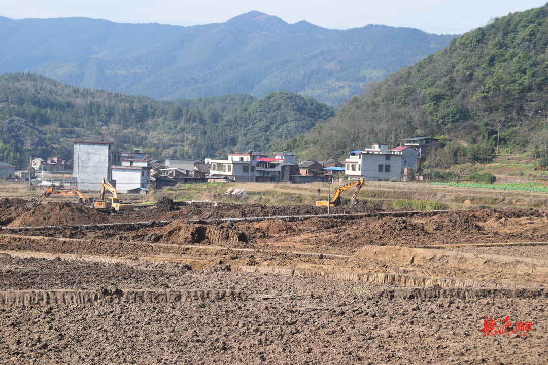 西瑶乡：冬闲变冬忙 高标准农田建设热火朝天