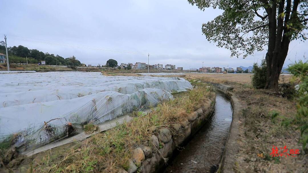 新春走基层｜小水利大民生