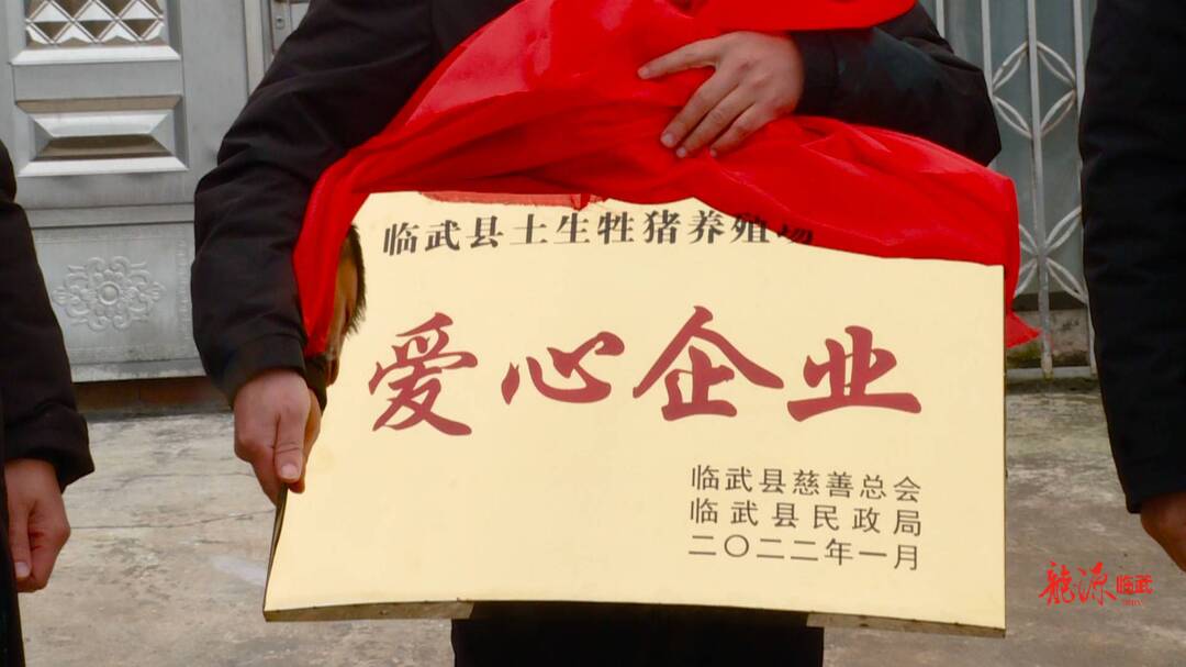 土生牲猪养殖专业合作社：十三载初心不变 为敬老院送生猪