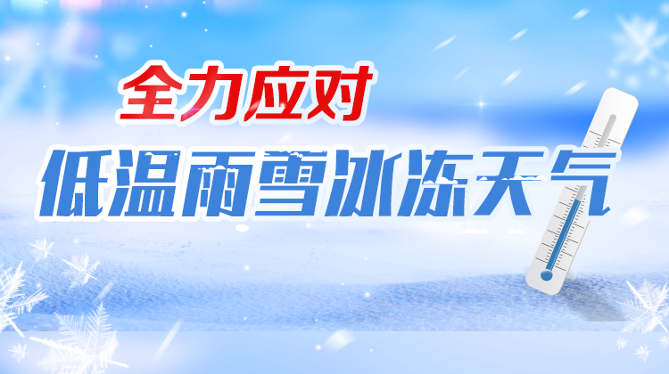 全力应对低温雨雪天气