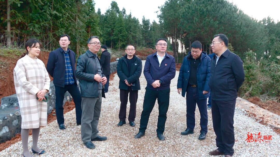 马天毅到武水镇油行村调研