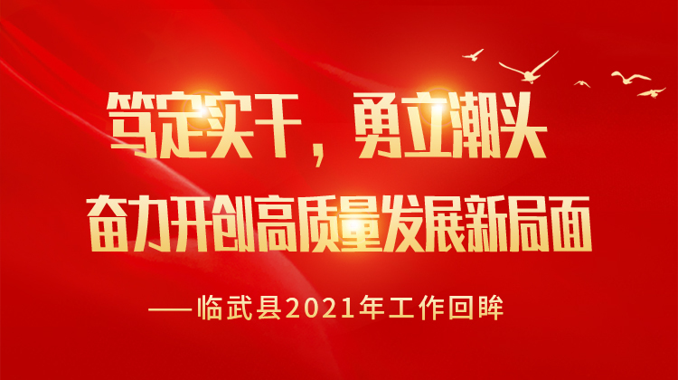 临武县2021年工作回眸｜笃定实干，勇立潮头 奋力开创高质量发展新局面