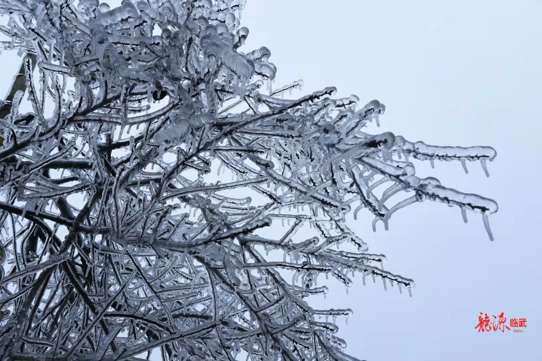 瑞雪降 新年旺