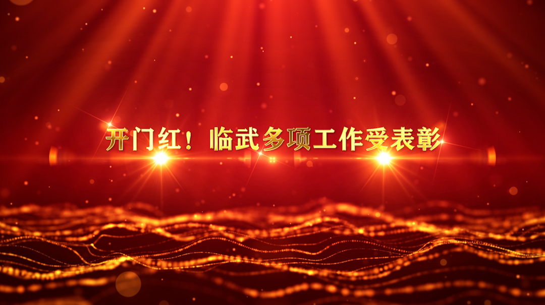 开门红！临武多项工作受表彰