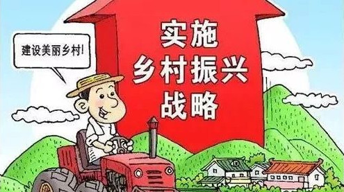 乡镇党委书记谈思路 话发展｜强基础 谋振兴